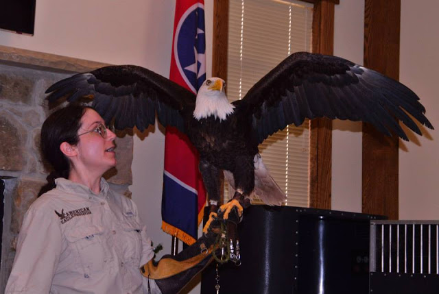 Duke Energy “Birds of Prey” Presentation and Giveaway